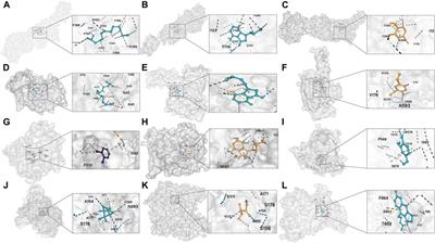 Elucidating shared biomarkers in gastroesophageal reflux disease and idiopathic pulmonary fibrosis: insights into novel therapeutic targets and the role of angelicae sinensis radix